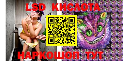 стаф Свободный
