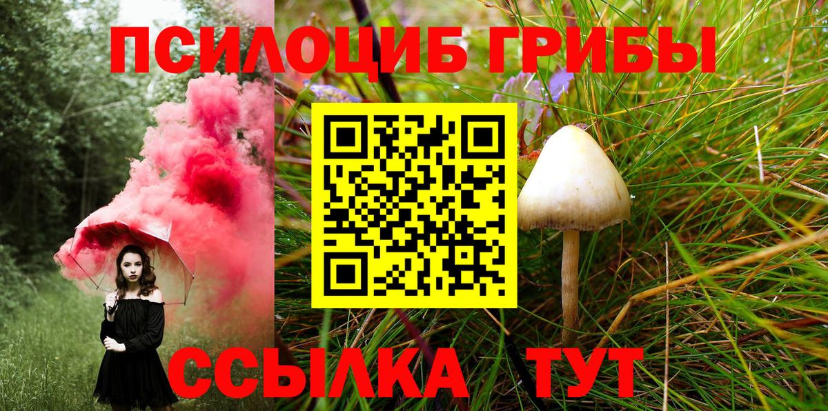 Рославль  Псилоцибиновые грибы мицелий  Псилоцибиновые грибы мицелий  Вход с VPN 